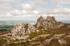 Devil's Chair and cattle 1