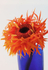 Flower  Glass