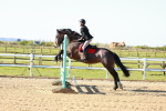 SBM_000297