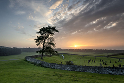 #113 The Curragh