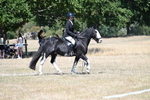 WJ7_0929