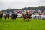 220824-Race 3-Thunder Run-7027
