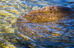 LITTLE COVE #6 -  BRUCE COUNTY
