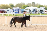 SBM_17970