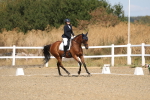 SBM_013503