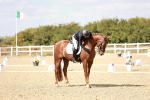 SBM_019288