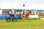 SBM_00247