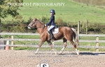 BPP_9084