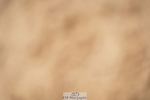 240317A-111938-05550