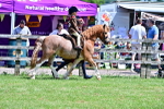 SBM_05754