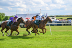 160725-Race 6-Bellarchi-9435