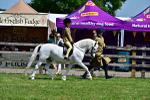 SBM_05918