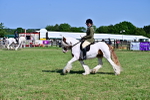 SBM_19368