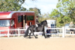 SBM_08944