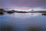 Pink Ice