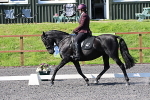 SIAL0685