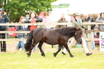 SBM_04345