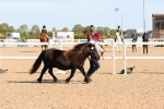 SBM_17685