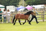 SBM_00455