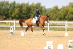 SBM_012018