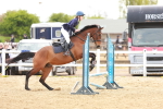 SBM_003956