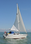 060505 JOIE DE VIVRE IMG_5367