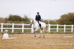 SBM_001811