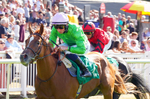 240726-Race 5-Zooella-01657