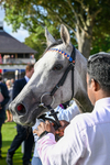 210826-Race 7-Silver Lake-7553
