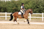 SBM_008675