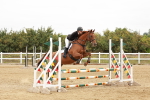 SBM_008481