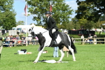 SBM_46779