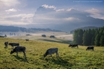 Seiser Alm Dolomites
