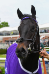 180523-Race 6-Cuban Thunder-0786