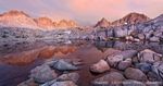 Granite Garden