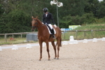 Class 3 - Novice 5 portfolio