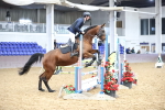 SBM_002584