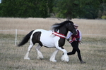 WJ7_8430