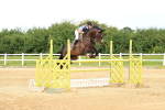 SBM_004436