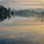 Lough Muckno Reflection
