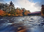 Albany Covered Bridge