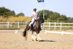 SBM_012271