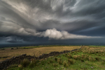 Summer Storm