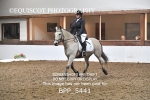 BPP_5441