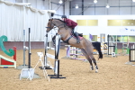 SBM_001343