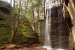 Hector Falls 2