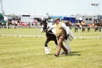SBM_04253