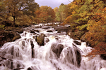 Swallow Falls in autumn 9