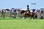 SBM_03758