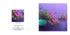 009 Bougainvillea
